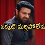 Prabhas : సినిమాకు కోట్లు తీసుకొనే ప్రభాస్‌ కు అప్పులు ఉన్నాయా..?