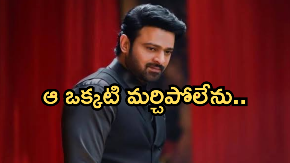 Prabhas : సినిమాకు కోట్లు తీసుకొనే ప్రభాస్‌ కు అప్పులు ఉన్నాయా..?