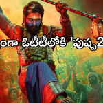 Pushpa 2 OTT:  ‘పుష్ప2’ మూవీ ఓటీటీ స్ట్రీమింగ్ డేట్ చేంజ్.. ఆ ఒక్కటే కారణంమా ..?