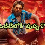 Pushpa 2 : ఓటీటీలోకి పుష్ప రాజ్ ఎంట్రీ… వాళ్ళకు మాత్రమే ఈ గుడ్ న్యూస్