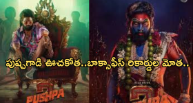 Pushpa2 Collections : 'బాహుబలి2' రికార్డు బ్రేక్.. పుష్పగాడి ఊచకోతకు వణుకుతున్న బాక్సాఫీస్..
