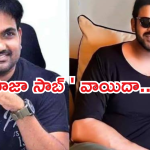 Raja Saab : ప్చ్..ఫ్యాన్స్ హర్ట్.. మారుతి పై గుస్సా..?