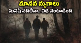 Kanuma Significance: కనుమ రోజు ప్రయాణాలు చేయకూడదు..ఎందుకో తెలుసా ?