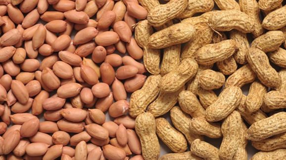 Health Tips: వేరుశనగ తిన్న తర్వాత.. వీటిని అస్సలు తినకూడదు