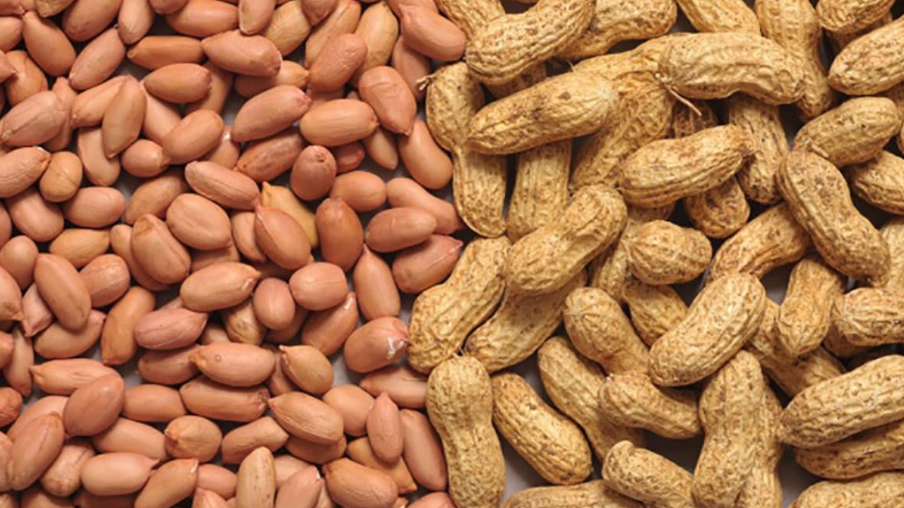 Health Tips: వేరుశనగ తిన్న తర్వాత.. వీటిని అస్సలు తినకూడదు