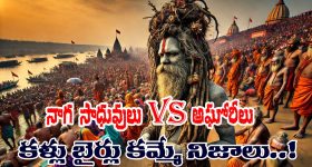 Naga Sadhu – Aghori : నాగసాధువులు, అఘోరీలు ఒక్కటి కాదా? కళ్ళు బైర్లు కమ్మే నిజాలు