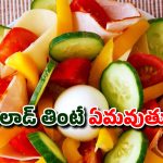 Cucumber Tomato Salad: కీర దోసకాయ, టమోటోలను కలిపి తినకూడదా? అలాంటి సలాడ్ తింటే ఏమవుతుంది?