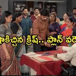 Satyabhama Today Episode : క్రిష్ పై సత్యకు అనుమానం.. అసలు నిజం బయట పెట్టిన రుద్ర…