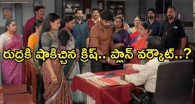 Cooking Oils: వంటలలో ఈ మూడు రకాల నూనెలను వాడకపోవడమే ఉత్తమం, వీటితో చాలా డేంజర్