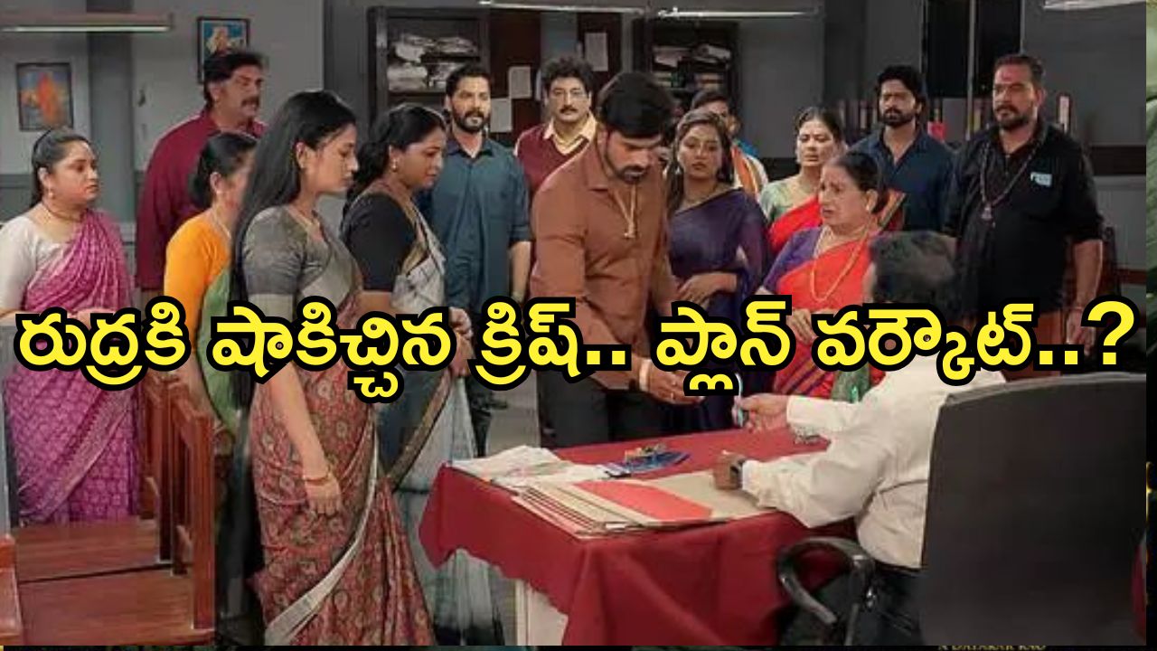 Satyabhama Today Episode : క్రిష్ పై సత్యకు అనుమానం.. అసలు నిజం బయట పెట్టిన రుద్ర…