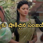 Satyabhama Today Episode : సంజయ్ ప్లాన్ ను బయటపెట్టిన సంజు.. ఎన్నికల నుంచి తప్పుకుంటుందా..?