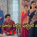 Satyabhama Today Episode : సత్యకు పుట్టింట్లో అవమానం.. భార్యగా అండగా క్రిష్..