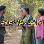 Satyabhama Today Episode : ఎన్నికల కోసం సత్య ఫోటో షూట్.. క్రిష్ కు చుక్కలు చూపిస్తున్న సత్య..