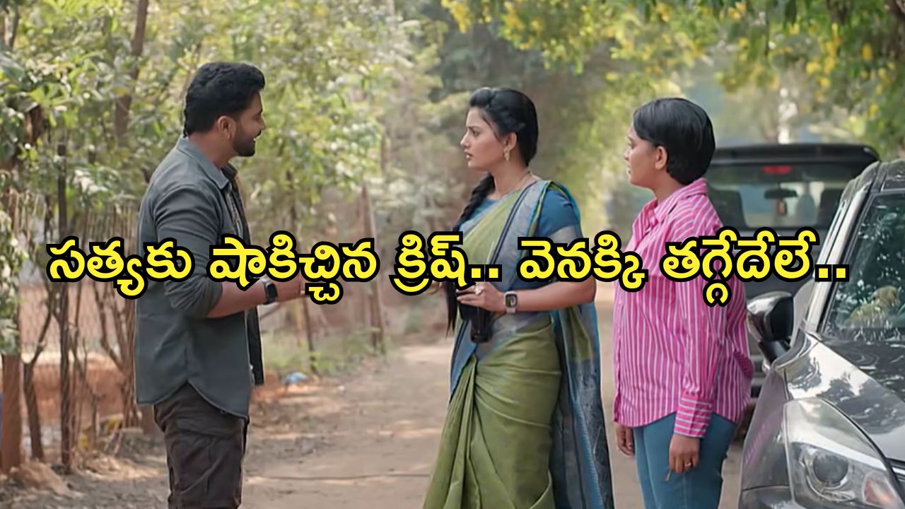 Satyabhama Today Episode : ఎన్నికల కోసం సత్య ఫోటో షూట్.. క్రిష్ కు చుక్కలు చూపిస్తున్న సత్య..
