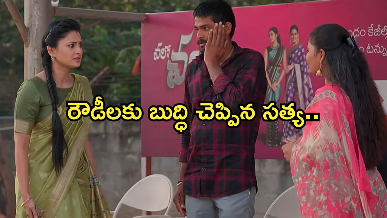 Satyabhama Today Episode : రౌడీలను చితక్కొట్టిన సత్య.. సంధ్య యవ్వారం బయటపడిందా..?
