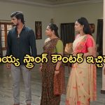 Satyabhama Today Episode : సత్యకు పెరిగిన సపోర్ట్.. సపోర్ట్ గా రేణుక.. రుద్ర ప్లాన్ కు సత్య బలి..