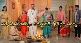Viral Video: వీడెవడో ‘మర్యాద రామన్న’ తమ్ముడిలా ఉన్నాడే.. ఇప్పుడా బోండాం నీళ్లు తాగేదెలా రా అబ్బాయ్?