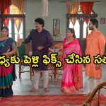 Satyabhama Today Episode : సత్యపై క్రిష్ సీరియస్.. సంధ్య పెళ్లిని ఫిక్స్ చేసేలా సత్య ప్లాన్..