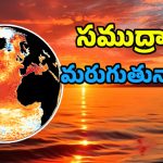Global warming : సముద్రాలు సలసల కాగిపోతున్నాయి.. ఇలాగైతే రానున్న రోజుల్లో ఈ విపత్తులు తప్పవు