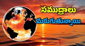 Global warming : సముద్రాలు సలసల కాగిపోతున్నాయి.. ఇలాగైతే రానున్న రోజుల్లో ఈ విపత్తులు తప్పవు