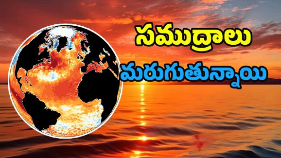 Global warming : సముద్రాలు సలసల కాగిపోతున్నాయి.. ఇలాగైతే రానున్న రోజుల్లో ఈ విపత్తులు తప్పవు