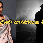 Shriya Saran : బడా నిర్మాత చేతిలో మోసపోయిన శ్రీయ.. ఇంటర్వ్యూలో బయటపడ్డ నిజం..