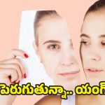 Anti Aging Tips: ప్రతి రోజు ఇలా చేస్తే చాలు.. ఏజ్ పెరుగుతున్నా కూడా యంగ్‌గా కనిపిస్తారు