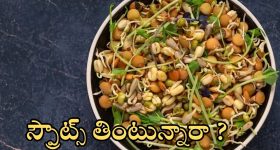 Sprouts: స్ప్రౌట్స్ తింటున్నారా ? ఈ విషయాలు గుర్తుంచుకోండి