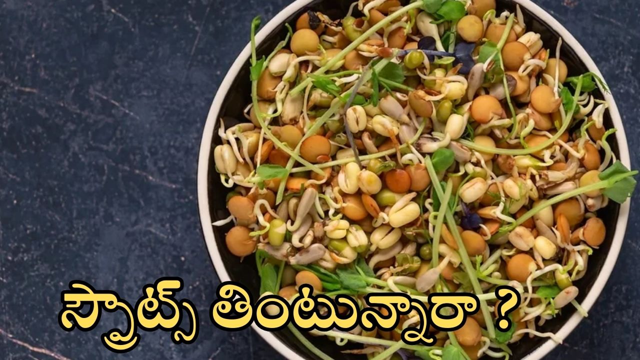 Sprouts: స్ప్రౌట్స్ తింటున్నారా ? ఈ విషయాలు గుర్తుంచుకోండి