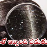 Dandruff: వీటిని ఒక్కసారి వాడితే.. చుండ్రు అస్సలు రాదు