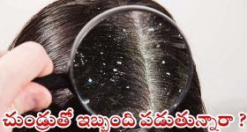 OTT Movie : హాలీవుడ్ సూపర్ హిట్ సినిమాలు ఓటీటీలోకి... ముఫాసతో మొదలుపెడితే...