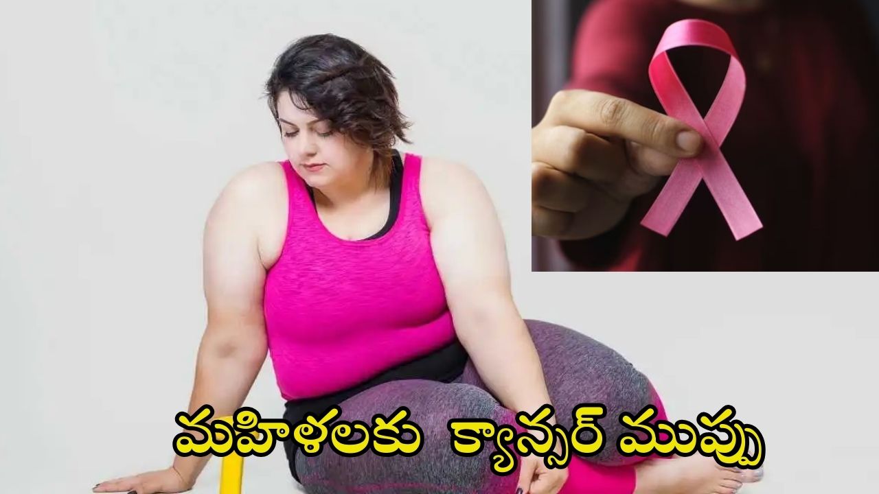 Cancer In Women: అధిక బరువు ఉన్న మహిళలకు .. ఈ క్యాన్సర్‌లు వచ్చే ప్రమాదం
