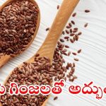 Flax Seeds Benefits: అవిసె గింజలతో.. అద్భుతాలు