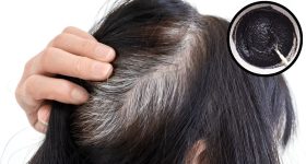 Hair Coloring Tips: తెల్ల జుట్టు నల్లగా మారాలంటే.. వీటిని మించినది లేదు