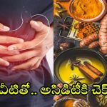 Tips For Acidity: అసిడిటీతో ఇబ్బంది పడుతున్నారా ? వీటితో క్షణాల్లోనే రిలీఫ్