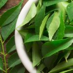Curry Leaves: ప్రతి రోజు ఉదయం 5 కరివేపాకులు తింటే ఎన్ని లాభాలో తెలుసా ?
