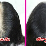 Hair Growth Tips: జుట్టు పెరగాలా ? అయితే ఈ టిప్స్ మీ కోసమే
