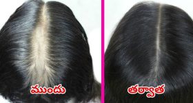 Hair Growth Tips: జుట్టు పెరగాలా ? అయితే ఈ టిప్స్ మీ కోసమే