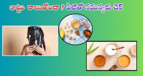 Hair Mask: జుట్టు రాలుతోందా ? వీటితో మీ సమస్యకు చెక్