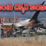 South Korea Plane Crashed : బ్లాక్ బాక్సుల్లో రికార్డింగులు మాయం.. 179 మంది మరణించిన సౌత్ కొరియా విమాన ప్రమాదంలో అంతా మిస్టరీనే..