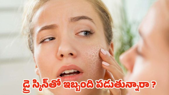 Tips For Dry Skin: డ్రై స్కిన్‌తో ఇబ్బంది పడుతున్నారా ? ఇలా చేస్తే.. ప్రాబ్లమ్ సాల్వ్