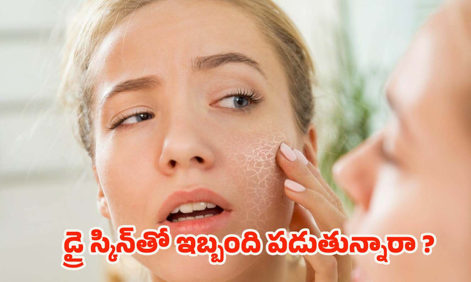 Tips For Dry Skin: డ్రై స్కిన్‌తో ఇబ్బంది పడుతున్నారా ? ఇలా చేస్తే.. ప్రాబ్లమ్ సాల్వ్