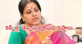 Actress Sudha : నటి సుధ జీవితంలో ఇన్ని కష్టాలా.. కన్నీళ్లు పెట్టిస్తున్న స్టోరీ..