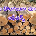 Teak Wood: టేకు దొంగులుగా మారిన ప్రభుత్వ ఉద్యోగులు.. ఎలా దొరికారంటే..?