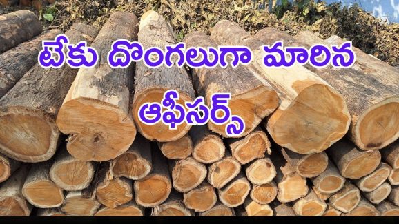 Teak Wood: టేకు దొంగులుగా మారిన ప్రభుత్వ ఉద్యోగులు.. ఎలా దొరికారంటే..?