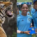 Indian Cricketer Relative: టీమిండియాలో విషాదం.. పులి దాడిలో ఆమె మృతి ?
