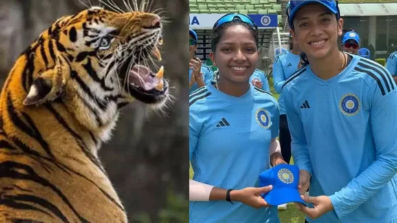 Indian Cricketer Relative: టీమిండియాలో విషాదం.. పులి దాడిలో ఆమె మృతి ?