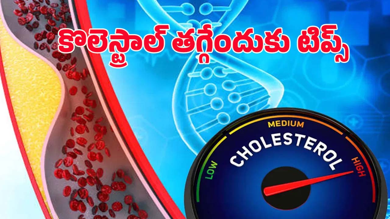 High Cholesterol: చెడు కొలెస్ట్రాల్‌ను ఐస్‌లా తగ్గించే.. బెస్ట్ టిప్స్ ఇవే !