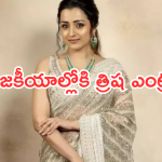 Trisha : రాజకీయాల్లోకి ఎంట్రీ ఇవ్వబోతున్న త్రిష.. టార్గెట్ సీఎం కుర్చీ..