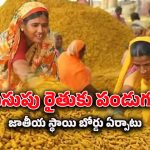 Nizamabad News : తెలంగాణకు కేంద్రం గుడ్ న్యూస్.. పండుగ వేళ పసుపు బోర్డు ప్రారంభోత్సవం.. ముహుర్తం ఎప్పుడంటే..